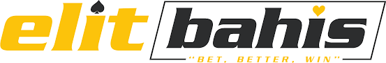Platform İnceleme Rehberi logosu
